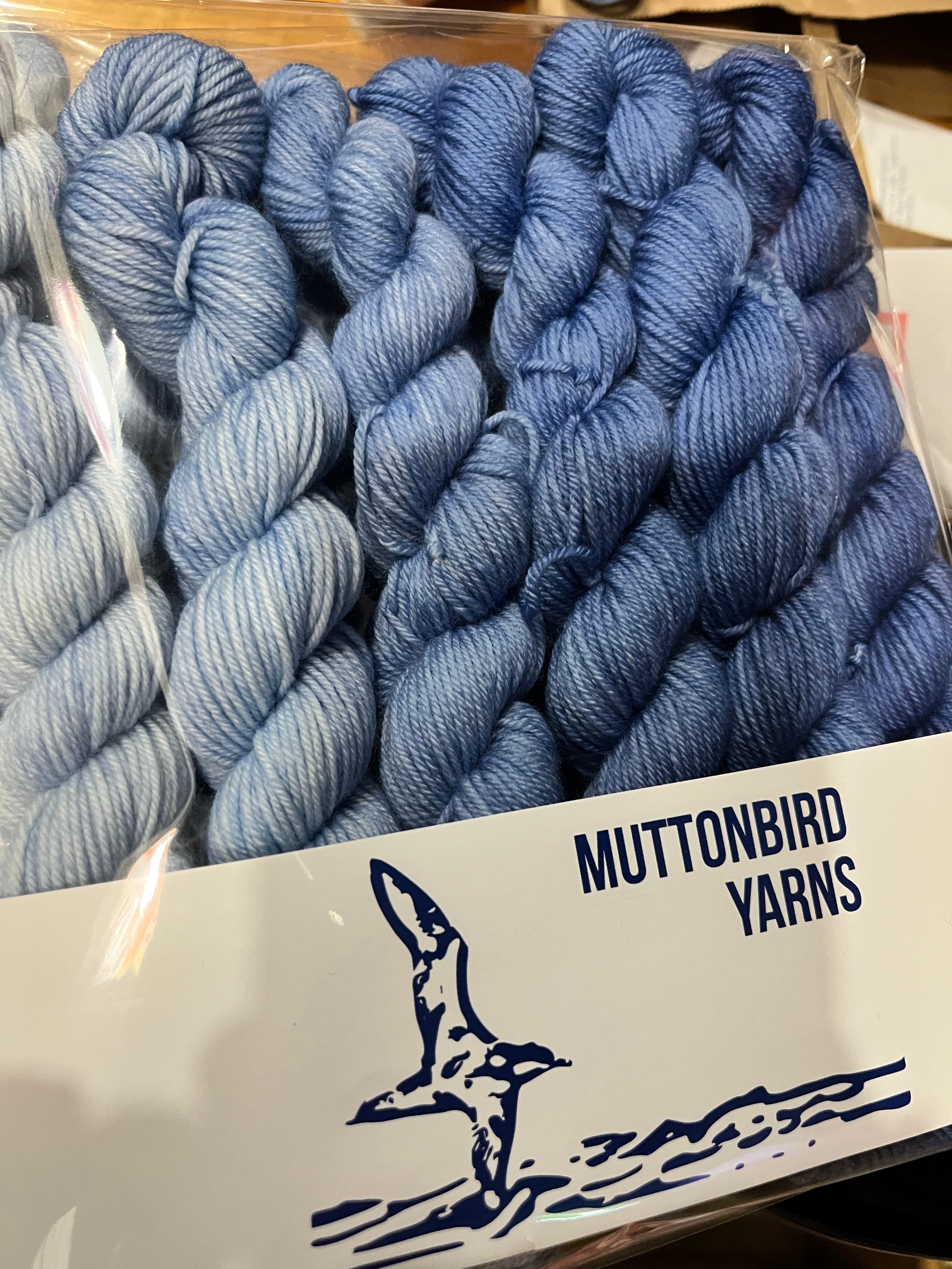 Mail Clad Princess Sock Fade - Blue
