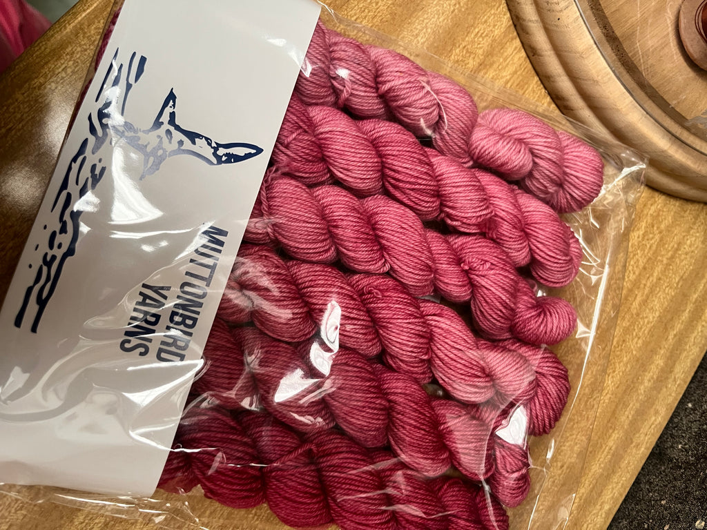 Mail Clad Princess Sock - Pink Fade