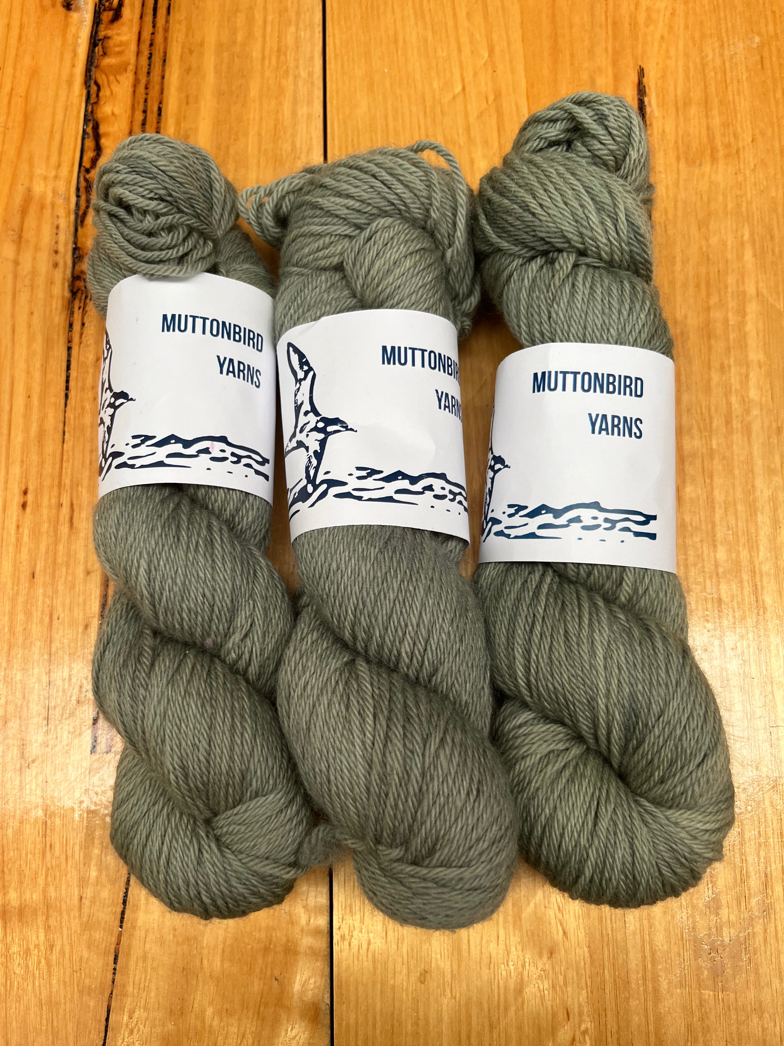 Non Superwash DK Merino - Gum Leaf