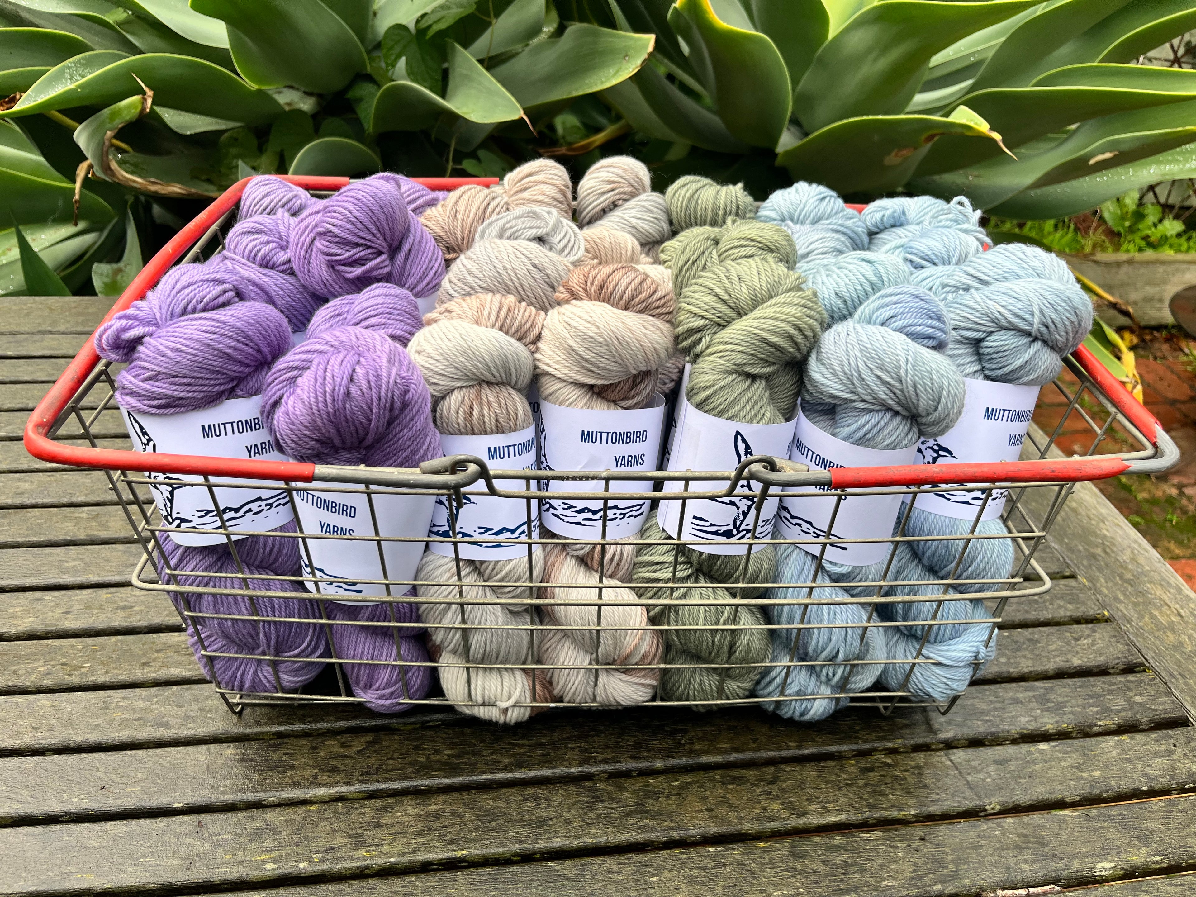 8ply/DK Non Superwash Polworth - They call it fashion